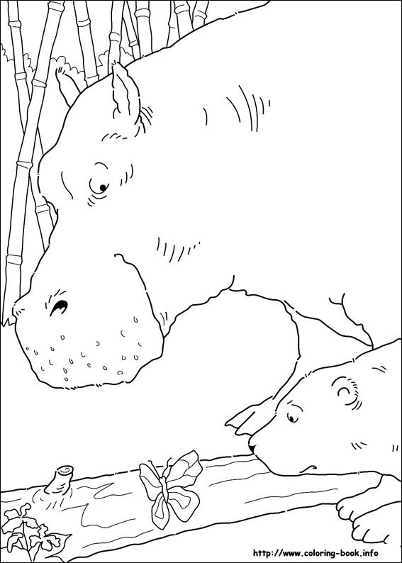 Little Polar Bear coloring picture